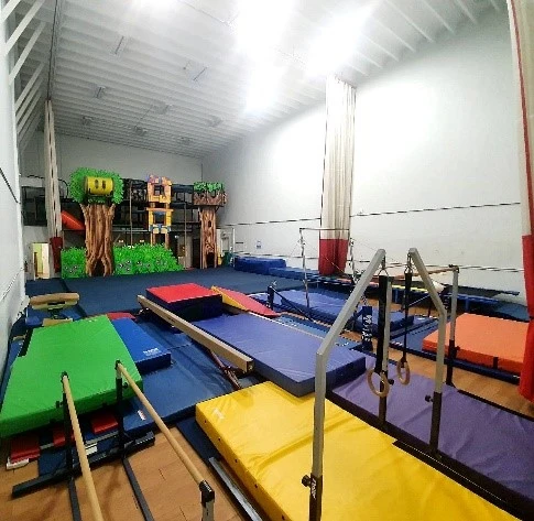 Gym View Aelita Gymnastics